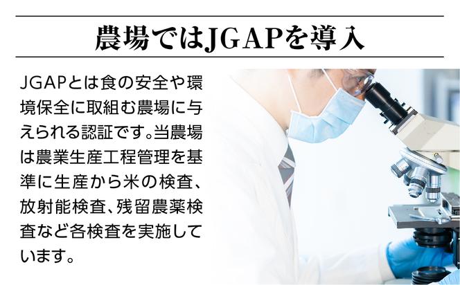 【定期便】3ヶ月連続お届け 令和六年産特別栽培米コシヒカリ4.5kg 