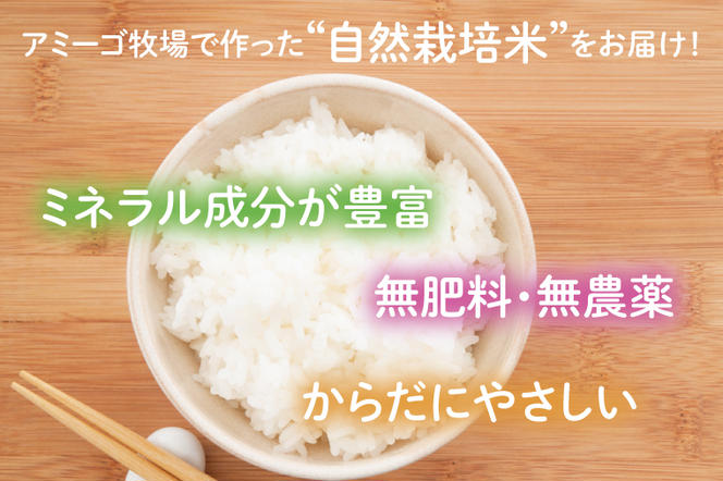 アミーゴ自然栽培米（5年目)  白米 真空キューブ米 2合(300g)×24個セット 計7.2kg 茨城県 大子町 米(CA005)