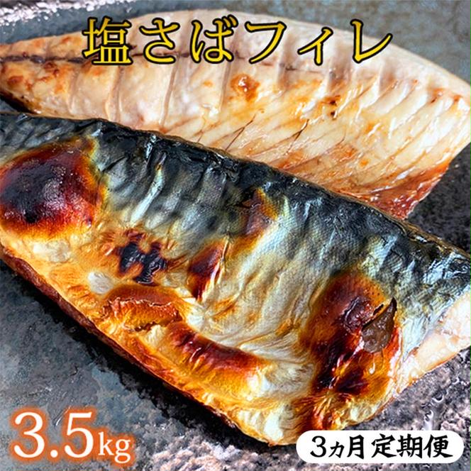 〈毎月定期便〉【ご家庭用　訳あり】塩さばフィレ3.5kg 全3回 ※離島への配送不可