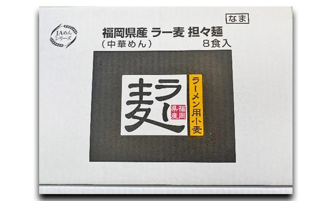 ラーメン 博多 生ラーメン 担々麺 1ケース 麺