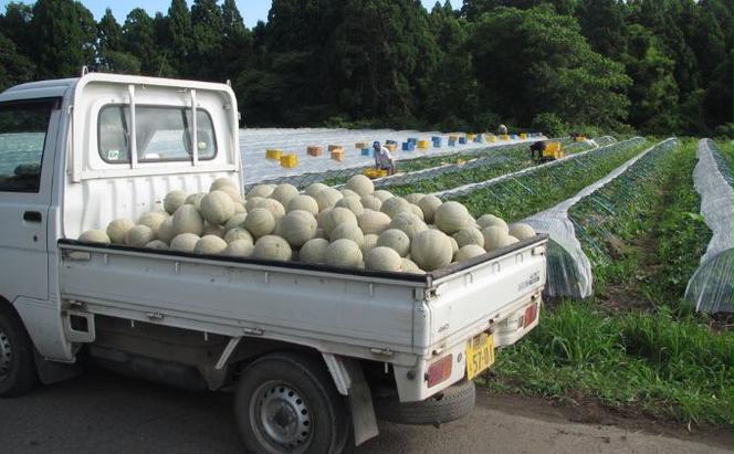 R7年度産 先行予約 メロン2玉（秋田美人）　秋田県 男鹿市