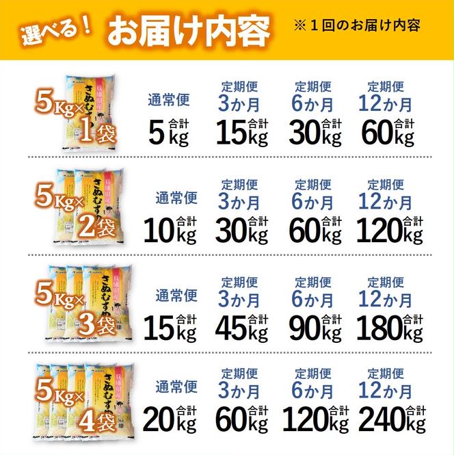 【ブランド米 きぬむすめ 定期便！12ヵ月連続お届け！】合計120kg（精米5kg×2袋12か月）（154-4）