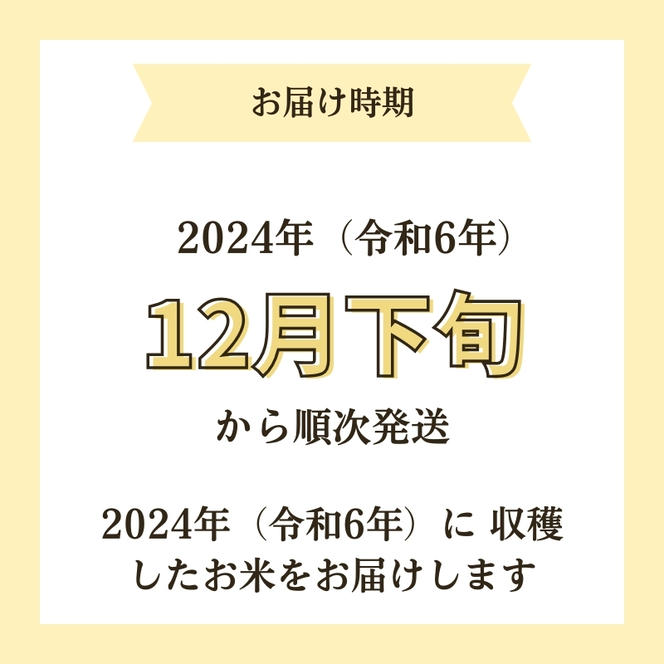 【令和6年産新米予約】<10ヵ月定期便>【無洗米】特別栽培米サキホコレ5kg×10回 合計50kg