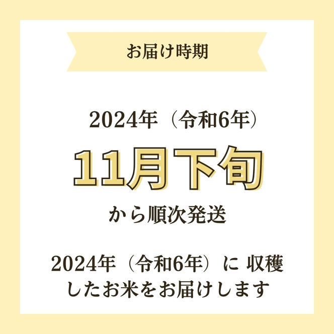 【令和6年産新米予約】<11ヵ月定期便>【無洗米】特別栽培米サキホコレ5kg×11回 合計55kg