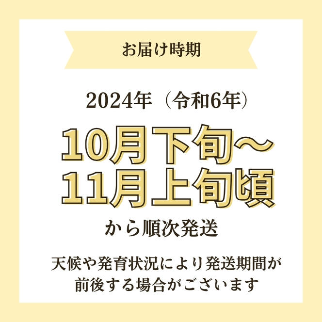 【令和6年産新米予約】<12ヵ月定期便>【無洗米】特別栽培米サキホコレ5kg×12回 合計60kg