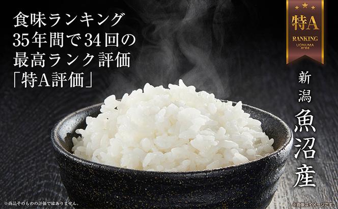 無地のし 無洗米 令和6年産 新潟県 魚沼産 コシヒカリ お米 20kg （5kg×4袋）精米済み お米 こめ 白米 新米 こしひかり 送料無料 魚沼 十日町