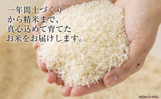 無洗米 令和6年産 新潟県 魚沼産 コシヒカリ お米 8kg  (2kg×4袋) 精米済み お米 こめ 白米 新米 こしひかり 送料無料 魚沼 十日町