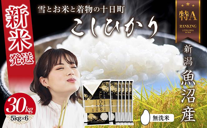 無洗米 令和6年産 新潟県 魚沼産 コシヒカリ お米 30kg （5kg×6袋）精米済み お米 こめ 白米 新米 こしひかり 送料無料 魚沼 十日町