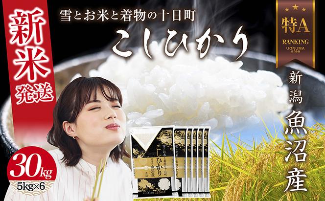 令和6年産 新潟県 魚沼産 コシヒカリ お米 30kg （5kg×6袋） 精米済み お米 こめ 白米 新米 こしひかり 送料無料 魚沼 十日町