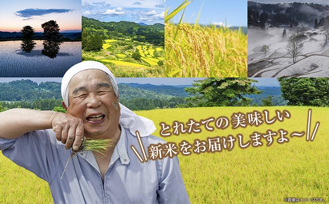 【令和6年産 新米予約】 無地のし 令和6年産 新潟県 魚沼産 コシヒカリ お米 15kg （5kg×3袋）精米済み（お米の美味しい炊き方ガイド付き）