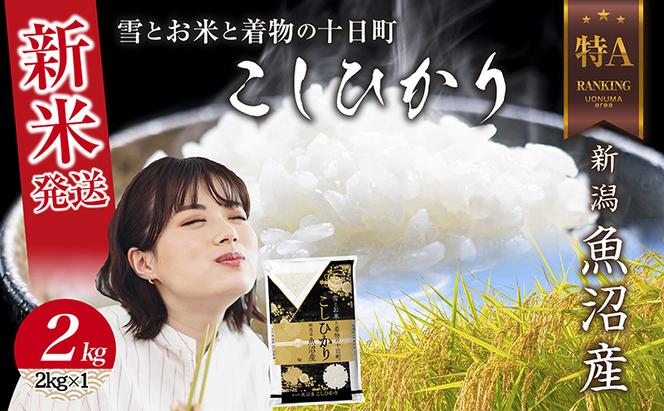 令和6年産 新潟県 魚沼産 コシヒカリ お米 2kg  精米済み お米 こめ 白米 新米 こしひかり 送料無料 魚沼 十日町