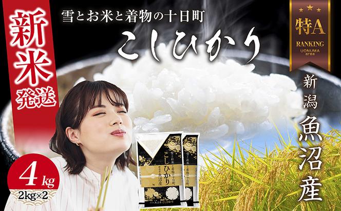 令和6年産 新潟県 魚沼産 コシヒカリ お米 4kg  (2kg×2袋) 精米済み お米 こめ 白米 新米 こしひかり 送料無料 魚沼 十日町