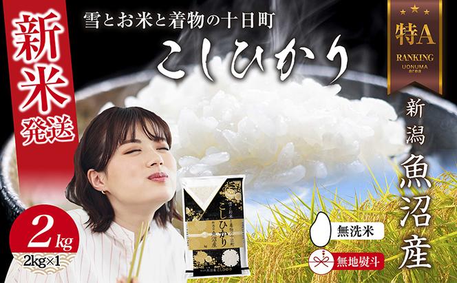  無地のし 無洗米 令和6年産 新潟県 魚沼産 コシヒカリ お米 2kg  精米済み お米 こめ 白米 新米 こしひかり 送料無料 魚沼 十日町