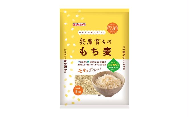 【定期便 年4回発送】兵庫育ちのもち麦5kg　[食物繊維 もちむぎ キラリモチ 国産 健康 加東市] 