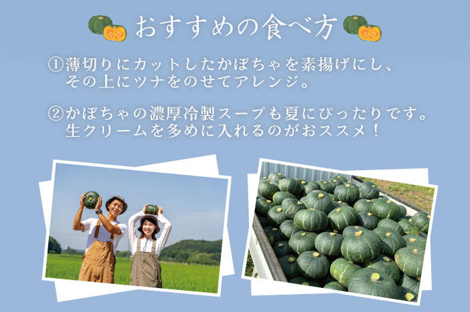 【数量限定】新拓農園のこだわり秋冬かぼちゃLセット 【野菜 やさい カボチャ 1万円以内 10000円以内 ほくほく 甘い おいしい パンプキン 国産 産地直送 期間限定 季節限定 茨城県 鹿嶋市】（KDC-1）