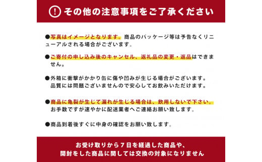 ウィルキンソン タンサン ジンジャーエール ペットボトル　500ml ×24本（1ケース）| 炭酸水 炭酸 辛口　刺激、強め　強炭酸　　酒のみらい　mirai