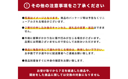 三ツ矢サイダー 500ml × 2ケース (48本)