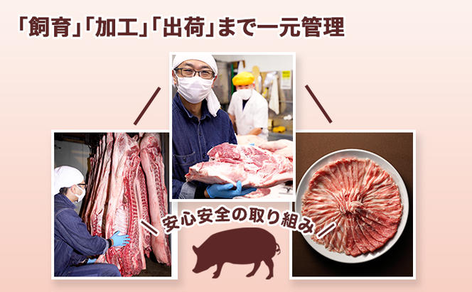 ＜3ヶ月連続お届け＞伊達黄金豚のジューシーな切り落とし肉 2kg【200g×10パック】三元豚  豚肉 ぶた肉 スライス 小間切れ 小分け 冷凍