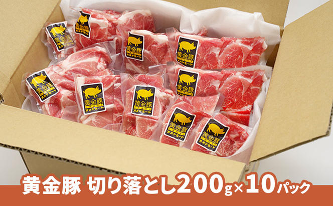 ＜3ヶ月連続お届け＞伊達黄金豚のジューシーな切り落とし肉 2kg【200g×10パック】三元豚  豚肉 ぶた肉 スライス 小間切れ 小分け 冷凍