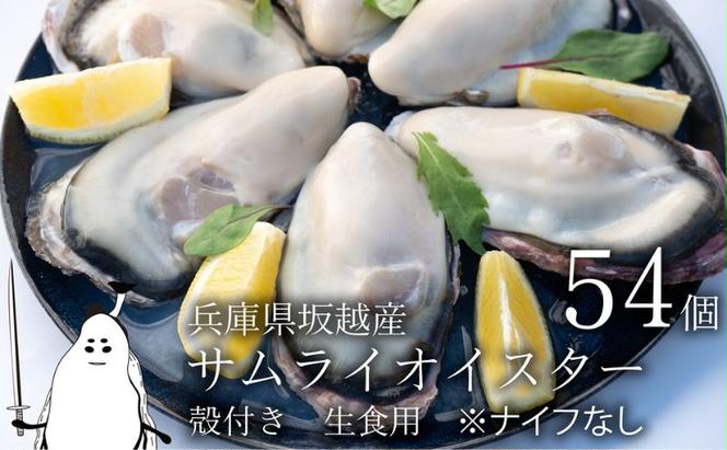 牡蠣 生食 坂越かき 殻付き54個【ナイフなし】サムライオイスター かき 生牡蠣 兵庫県 赤穂市