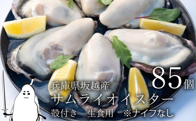 牡蠣 生食 坂越かき 殻付き85個【ナイフなし】サムライオイスター かき 生牡蠣 兵庫県 赤穂市