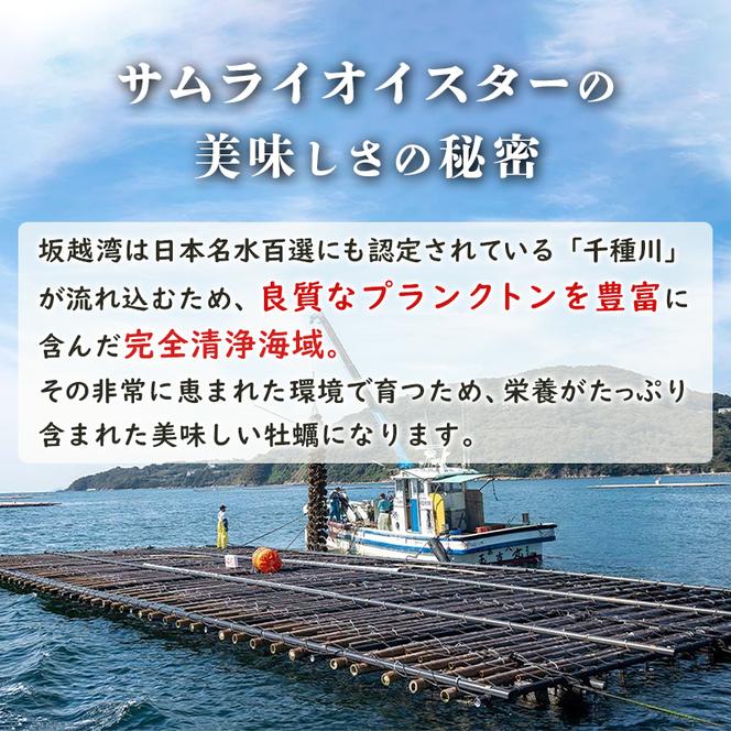 牡蠣 生食 坂越かき むき身 500g×1、 殻付き 12個【ナイフなし】サムライオイスター かき 生牡蠣 兵庫県 赤穂市