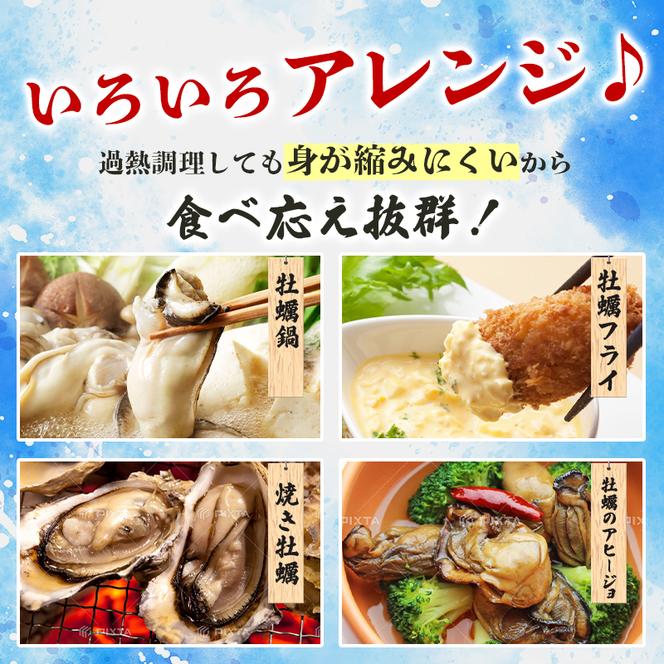 牡蠣 生食 坂越かき むき身 500g×1、 殻付き 12個【ナイフなし】サムライオイスター かき 生牡蠣 兵庫県 赤穂市