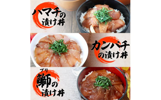 【ふるさと納税】これが魚屋の漬け丼だ！海鮮5種食べ比べセット 80g×10P 6ヶ月定期便 訳あり 鮪 マグロ ハマチ 鯛 タイ カンパチ ブリ 海鮮丼 おかず 惣菜 魚 魚介類 個包装 小分け 真空パック お取り寄せ 冷凍 配送 高知県 田野町 ふるさとのうぜい 故郷納税 返礼品