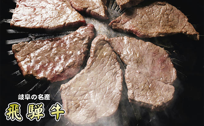 【定期便3ヶ月】牛肉 飛騨牛 焼き肉 セット 赤身 モモ 又は カタ 300g 黒毛和牛 Ａ5 美味しい お肉 牛 肉 和牛 焼肉 BBQ バーベキュー 【岐阜県池田町】