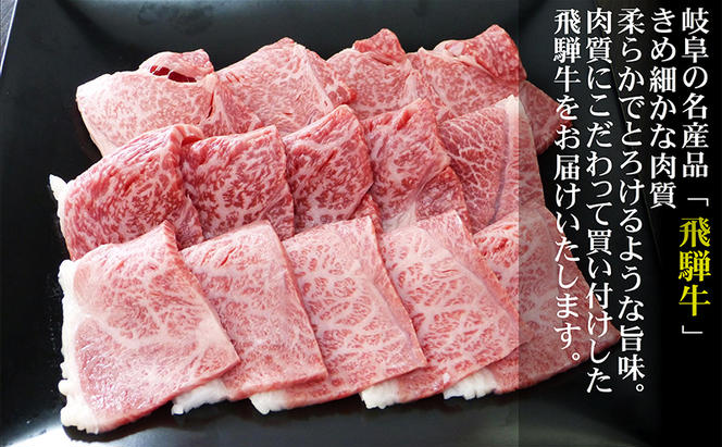 【定期便12ヶ月】牛肉 飛騨牛 焼き肉 セット 赤身 モモ 又は カタ 300g 黒毛和牛 Ａ5 美味しい お肉 牛 肉 和牛 焼肉 BBQ バーベキュー 【岐阜県池田町】