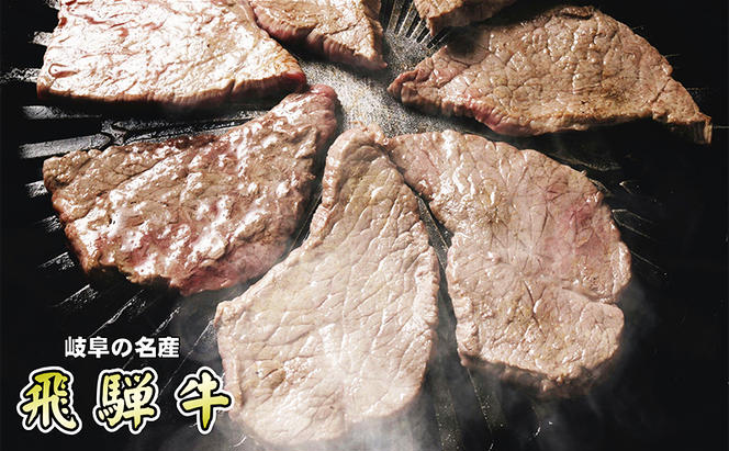 【定期便3ヶ月】牛肉 飛騨牛 焼き肉 セット 赤身 モモ 又は カタ 500g 黒毛和牛 Ａ5 美味しい お肉 牛 肉 和牛 焼肉 BBQ バーベキュー 【岐阜県池田町】