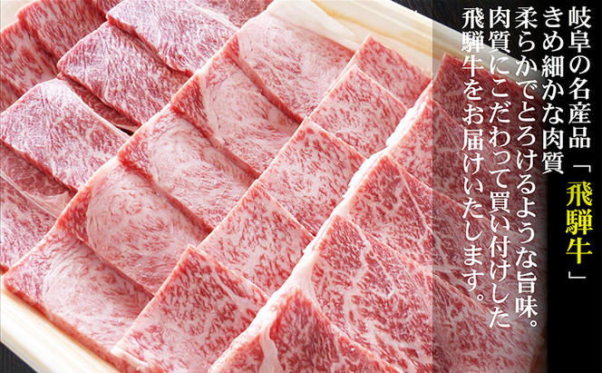 【定期便3ヶ月】牛肉 飛騨牛 焼き肉 セット 赤身 モモ 又は カタ 500g 黒毛和牛 Ａ5 美味しい お肉 牛 肉 和牛 焼肉 BBQ バーベキュー 【岐阜県池田町】