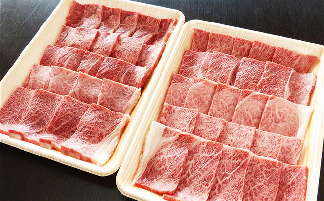 【定期便3ヶ月】牛肉 飛騨牛 焼き肉 セット 赤身 モモ 又は カタ 1kg 黒毛和牛 Ａ5 美味しい お肉 牛 肉 和牛 焼肉 BBQ バーベキュー 【岐阜県池田町】