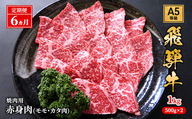 【定期便6ヶ月】牛肉 飛騨牛 焼き肉 セット 赤身 モモ 又は カタ 1kg 黒毛和牛 Ａ5 美味しい お肉 牛 肉 和牛 焼肉 BBQ バーベキュー 【岐阜県池田町】