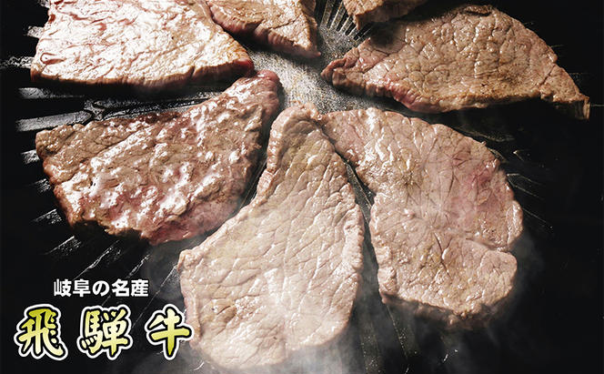 【定期便6ヶ月】牛肉 飛騨牛 焼き肉 セット 赤身 モモ 又は カタ 1kg 黒毛和牛 Ａ5 美味しい お肉 牛 肉 和牛 焼肉 BBQ バーベキュー 【岐阜県池田町】