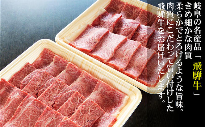 【定期便3ヶ月】牛肉 飛騨牛 焼き肉 セット 赤身 モモ 又は カタ 600g 黒毛和牛 Ａ5 美味しい お肉 牛 肉 和牛 焼肉 BBQ バーベキュー 【岐阜県池田町】