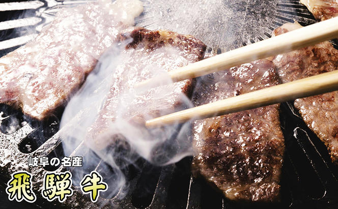 【定期便3ヶ月】牛肉 飛騨牛 焼き肉 セット ロース 又は 肩ロース 500g 黒毛和牛 Ａ5 美味しい お肉 牛 肉 和牛 焼肉 BBQ バーベキュー 【岐阜県池田町】