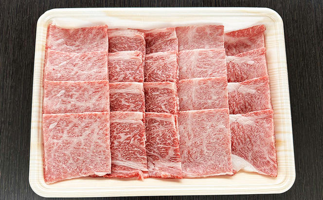 【定期便3ヶ月】牛肉 飛騨牛 焼き肉 セット ロース 又は 肩ロース 500g 黒毛和牛 Ａ5 美味しい お肉 牛 肉 和牛 焼肉 BBQ バーベキュー 【岐阜県池田町】