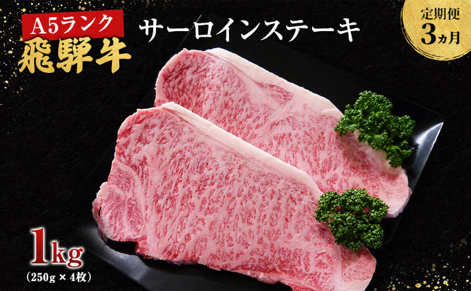 【定期便3ヶ月】牛肉 飛騨牛 サーロイン ステーキ セット 1kg （ 1枚 約250g × 4枚 ） 黒毛和牛 Ａ5 美味しい お肉 牛 肉 和牛 サーロインステーキ 【岐阜県池田町】