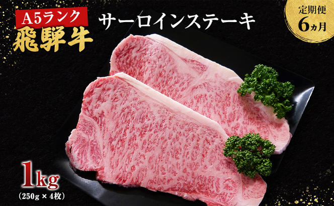 【定期便6ヶ月】牛肉 飛騨牛 サーロイン ステーキ セット 1kg （ 1枚 約250g × 4枚 ） 黒毛和牛 Ａ5 美味しい お肉 牛 肉 和牛 サーロインステーキ 【岐阜県池田町】