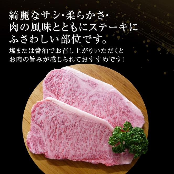 【定期便3ヶ月】牛肉 飛騨牛 サーロイン ステーキ セット 600g （ 1枚 約300g × 2枚 ） 黒毛和牛 Ａ5 美味しい お肉 牛 肉 和牛 サーロインステーキ 【岐阜県池田町】