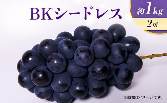 【8月中旬より発送】ぶどう BKシードレス 約1kg 2房 巨峰 マスカットベリーA 糖度20度以上 岩沼市産