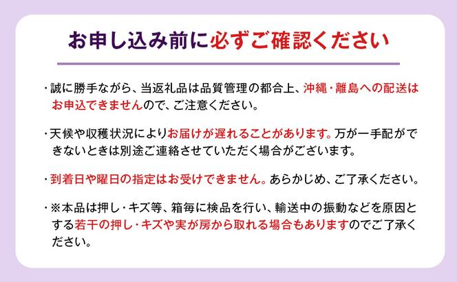 【8月中旬より発送】ぶどう BKシードレス 約1kg 2房 巨峰 マスカットベリーA 糖度20度以上 岩沼市産