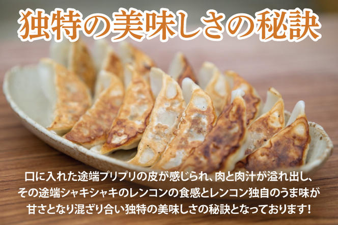 【3ヶ月定期便】蓮根肉餃子のおばけん【20粒×3回】【野菜 ギョーザ れんこん しゃきしゃき おいしい ストック 茨城県 鹿嶋市】（KBU-16）