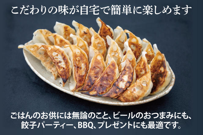 【3ヶ月定期便】蓮根肉餃子のおばけん【20粒×3回】【野菜 ギョーザ れんこん しゃきしゃき おいしい ストック 茨城県 鹿嶋市】（KBU-16）