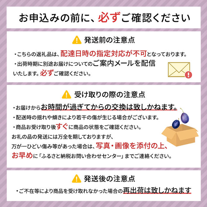 【8月発送】 北海道 仁木町産 和田農園 おすすめ プルーン 800g