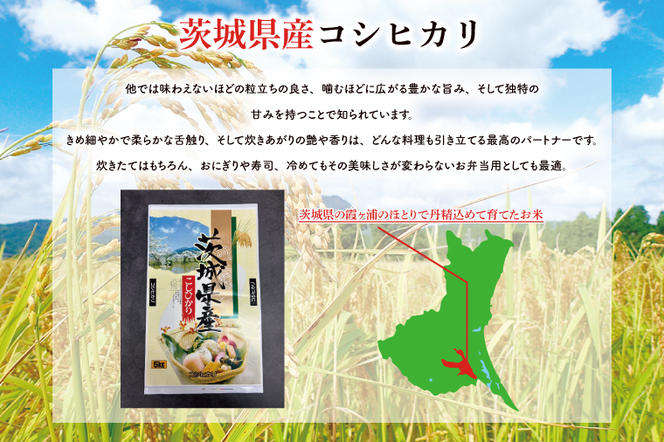 FG-7　お米好き必見！ ７日以内に発送！！【令和６年産】茨城県の恵み こしひかり5kg（5kg×1袋） ～茨城県自慢のこしひかり～　茨城県 行方市 新鮮 おいしい お米 送料無料 白米 精米 国産 ごはん ご飯 白飯 ゴハン ごはんのおとも