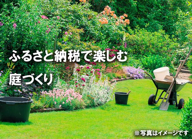 BS174_ハーブセットC　花 苗 植物 家庭菜園 花壇 プランター ガーデニング