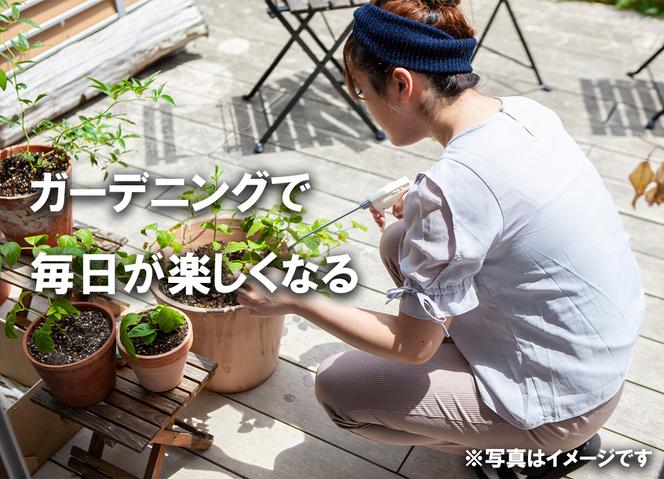 BS176_OGプランツセット　花 苗 植物 家庭菜園 花壇 プランター ガーデニング