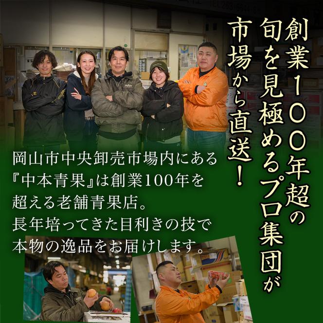 ぶどう 定期便 2025年 先行予約 晴れの国 岡山 の ぶどう定期便 3回コース 葡萄 ブドウ 岡山県産 国産 セット ギフト